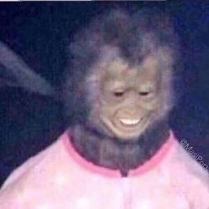 Meet your Posher, Tyrone